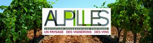 Logo IGP Alpilles